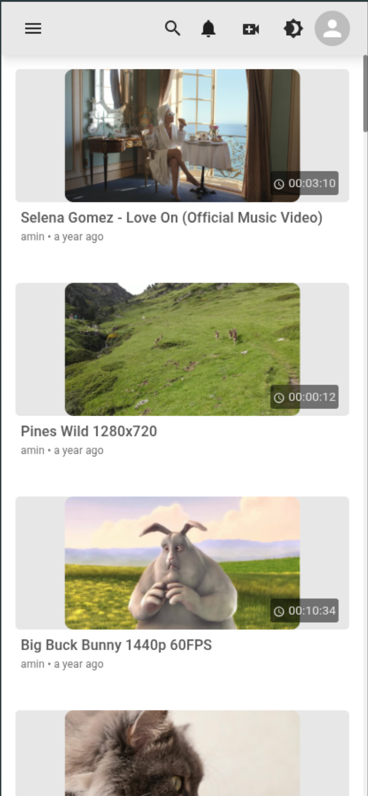 Mobile Video Streaming Dash
