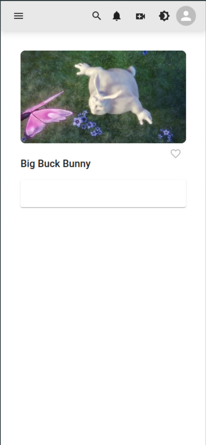 Mobile Video Streaming Player